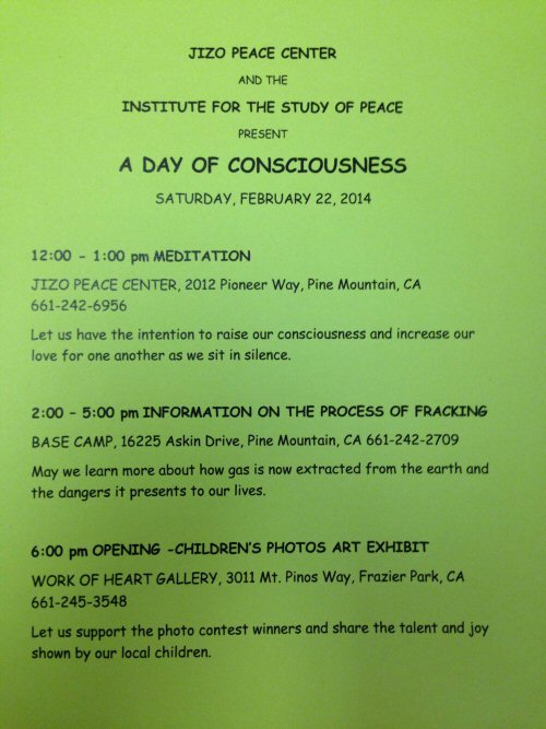 A Day of Consciousness 